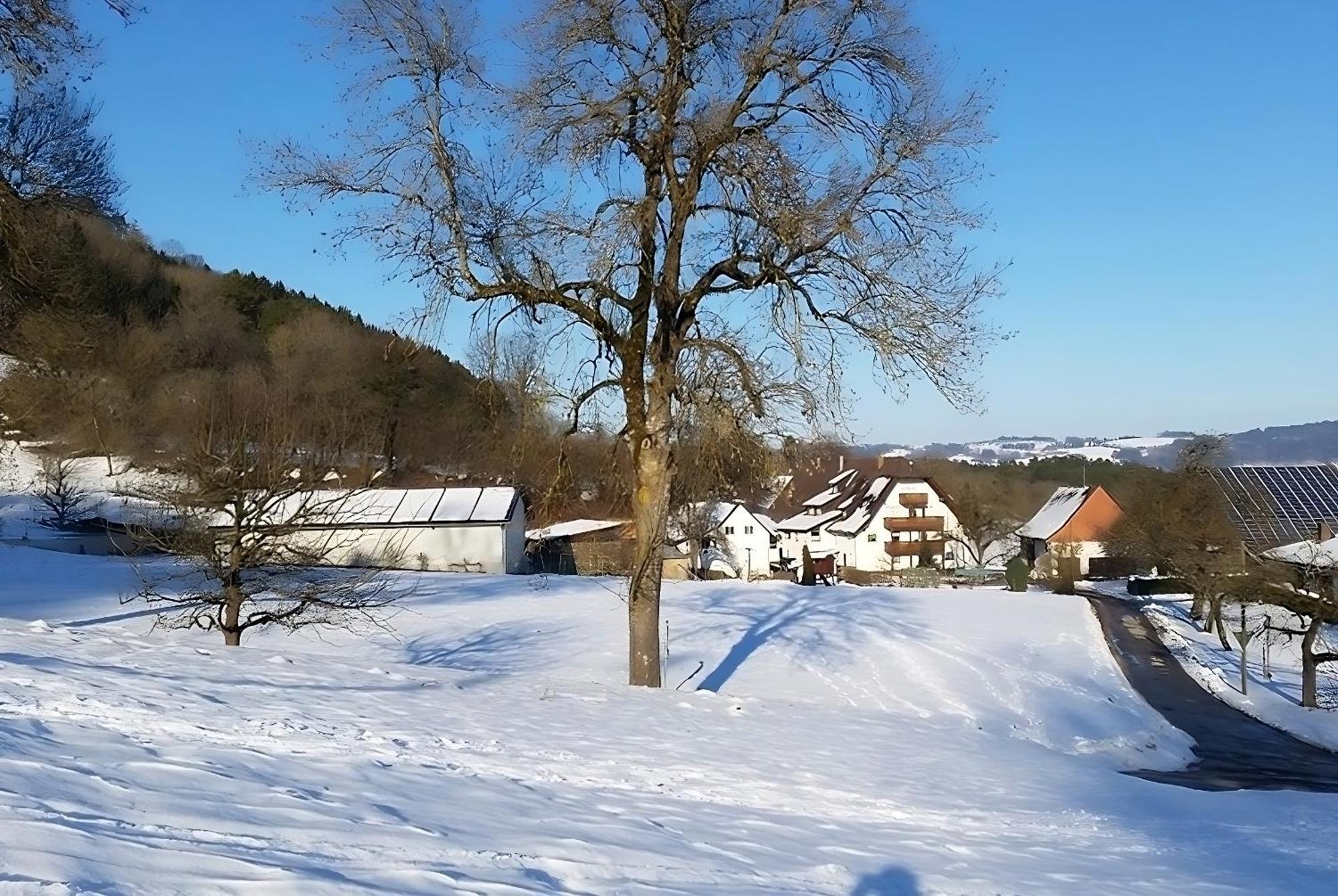 Mayer Burghoefe Owingen Luaran gambar